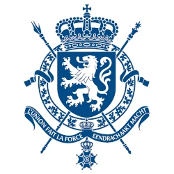 Cour constitutionnelle