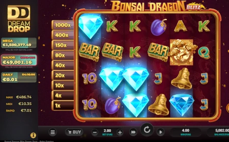 Bonsai Dragon Blitz - Revue de jeu