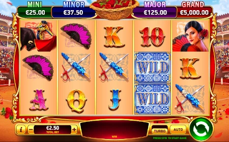 Bull Fever - Revue de jeu