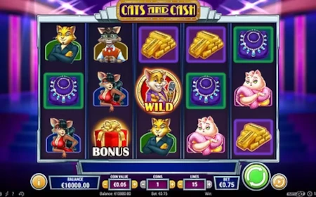 Cats and Cash - Revue de jeu