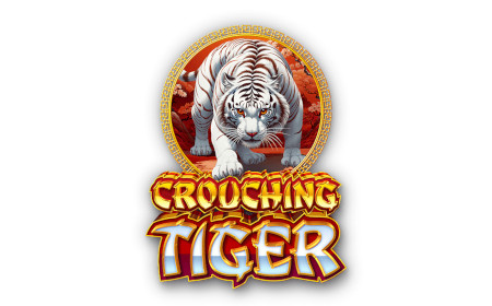 Crouching Tiger - Revue de jeu