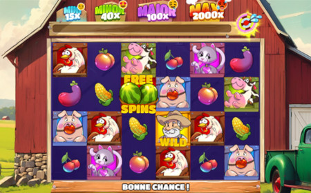 Dick The Farmer - Revue de jeu