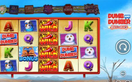 Dumb and Dumber Route to Riches - Revue de jeu