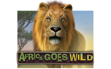 Africa Goes Wild - Revue de jeu