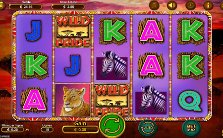 Wild Pride - Revue de jeu