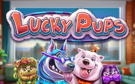 Lucky Pups - Revue de jeu