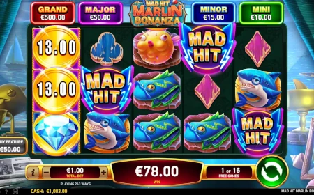 Mad Hit&reg; Marlin Bonanza - Revue de jeu