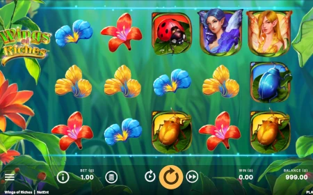 Wings of Riches - Revue de jeu