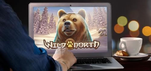 Tournoi Wild North